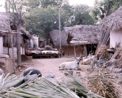1967 Vedichipalayam Village India.jpg